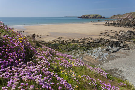sea, beach and rocks