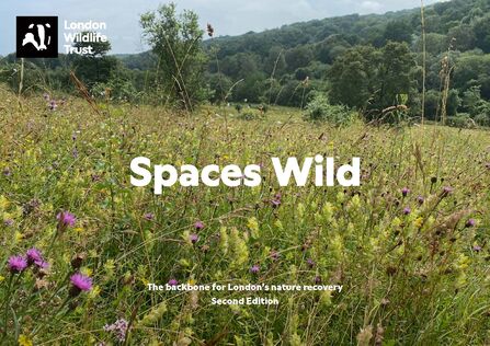 Cover for Spaces Wild 2nd edition (2026)