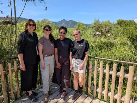 Nature recovery team at Alsace