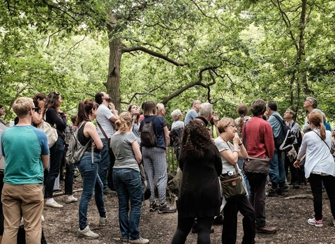 Tree ID walk