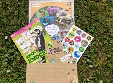 Wildlife watch pack