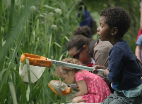 Pond dipping at Camley Street Natural Park
