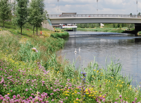 River Lea