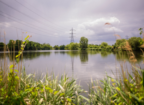 View from Walthamstow Wetlands