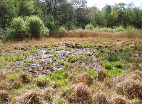 Farm Bog 