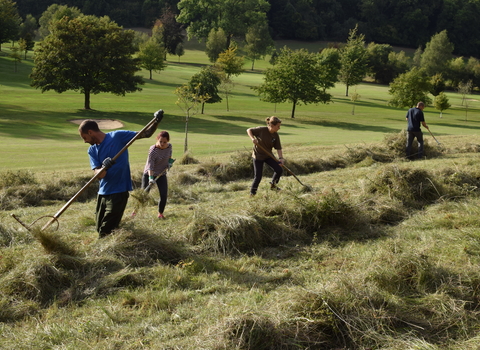 Workday at West Kent Golfcourse