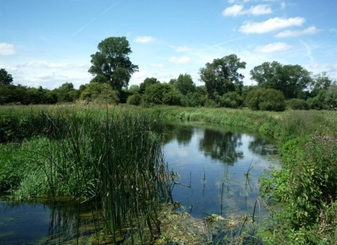 Colne valley