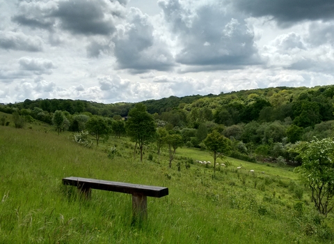 The view from the top of Hutchinson's Bank