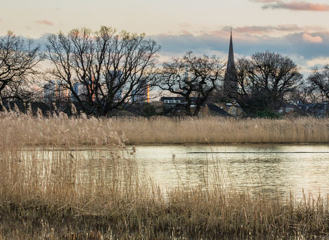 Wooberry Wetlands