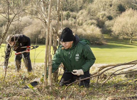 Hedgelaying workshop 