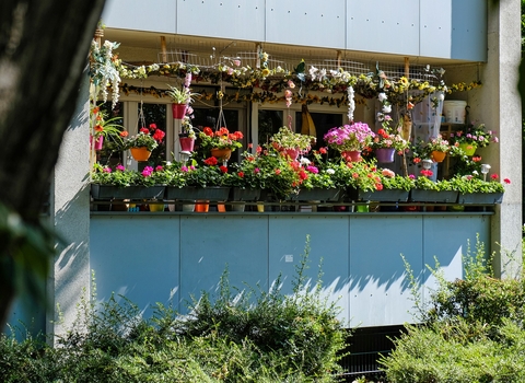 A balcony filled with window boxes and hanging baskets