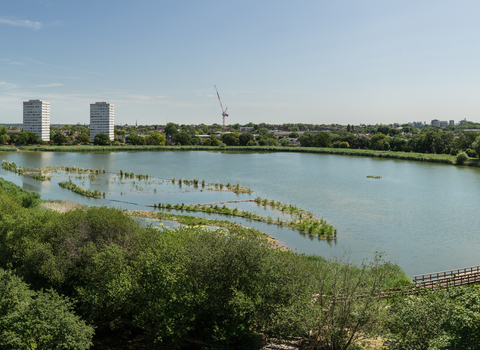 View of Woodberry Wetlands