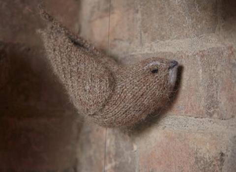 Urban swifts