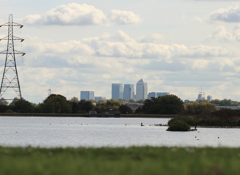 Walthamstow Wetlands City View