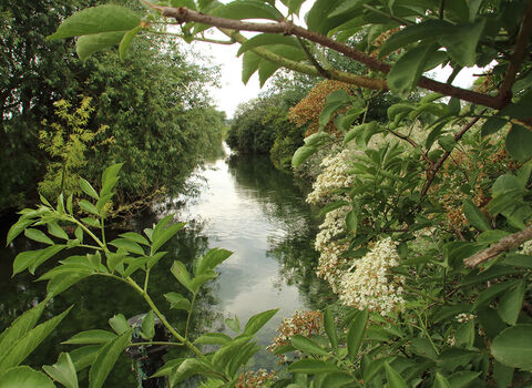 Walthamstow Wetlands Coppermill stream view