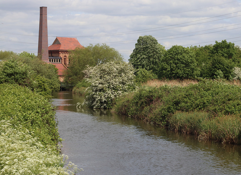 Walthamstow Wetlands Spring View