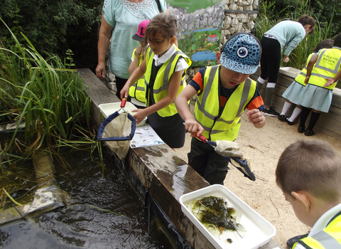 Willowbrook Primary School at Woodberry Wetlands