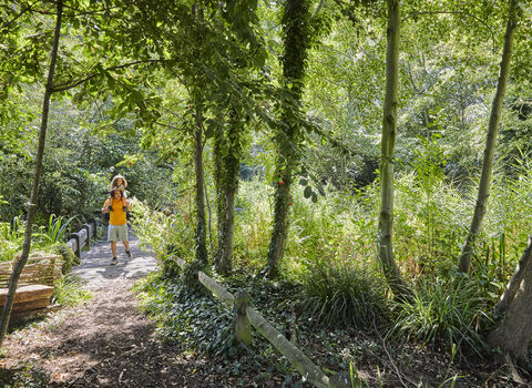 A man carrying a little girl on his shoulders and walking along the path at Camley Street Natural Park. The path is surrounded by leafy trees.