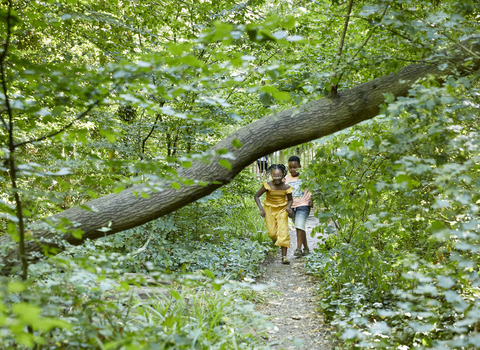 Children running under tree branch at Sydenham Hill Wood