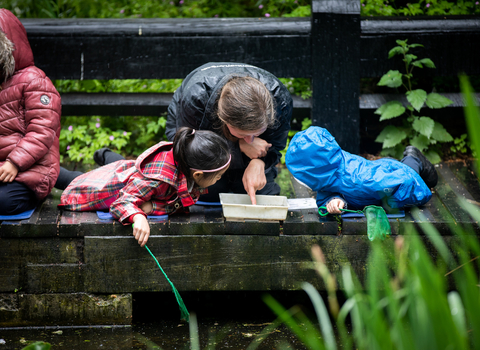 Two children and an adult pond dipping in the rain. The adult is pointing at something in a white tray
