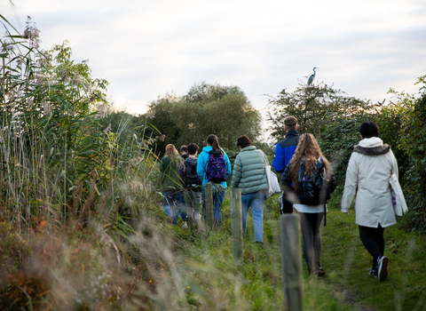 A group of young adults walking through vegetation.