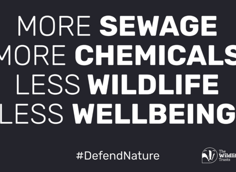 Text reads: More sewage more chemicals less wildlife less wellbeing #DefendNature