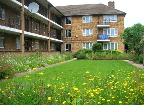 A bricked building with a lawn in front that is filled with wildflowers