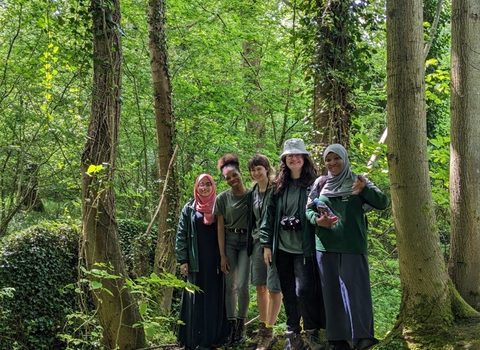 A group of people stand in a woodland area atop a ivy covered trunk