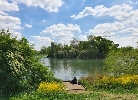 Lake Rope Bridge for London Wetlands Centre 'Wild Walk' project -  Traditional - Landscape - London - by Treehouse Life Ltd.