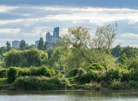 Walthamstow Wetlands, a body of water with a island of trees and green space in the background with a city scape of buildings behind. 