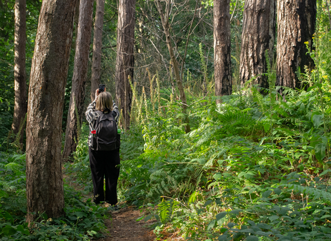 A woman is standing on a woodland path holding her phone up to take a photo of the trees