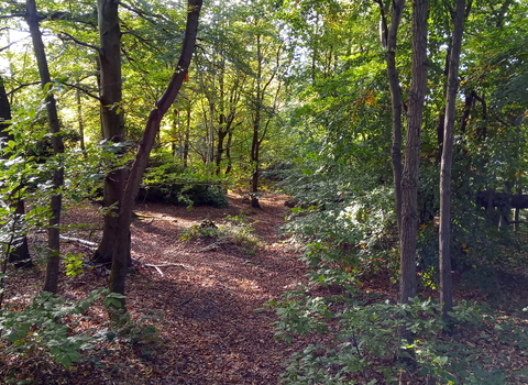 View of The Warren