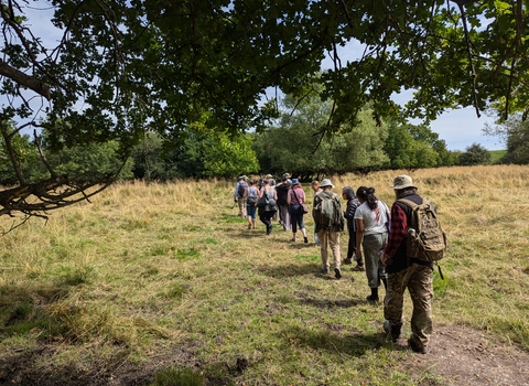 A group of people walking across a field with tree canopy in the foreground