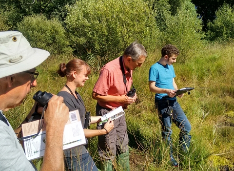 Four people standing with binoculars and booklets looking at the bog