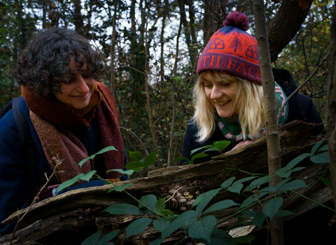 Two adults looking at fungi in Gutteridge Wood and Meadows