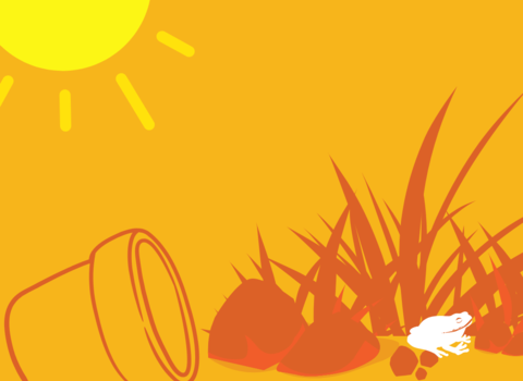 A graphic showing a bright sun in the corner, a plant pot on its side next to long grass and rocks. A frog is sat in the long grass. It depicts a messier garden