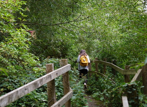Woman walking on boardwalk in Denham Lock Wood
