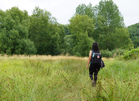 Woman walking through Fray's Farm Meadows
