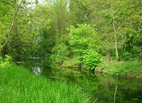 River Wandle running past Wildnerness Island nature reserve