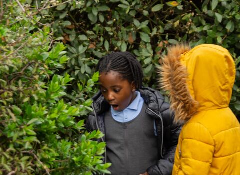 Two children looking for bugs in the hedge