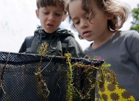 Family wildlife activities